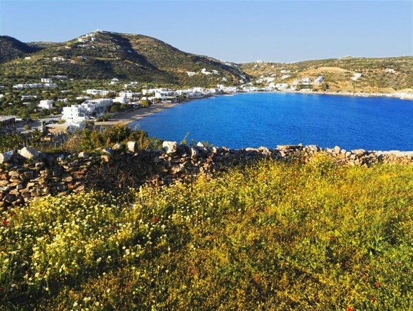 Artemis Studios offre une vue exceptionnelle, à 150 m de la plage, des restauran Greece Studio de charme vue mer à  Platys Gialos, Sifnos Private room in nature lodge vacation rental 32236867