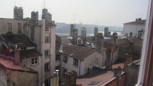 Mon studio est atypique (douche donnant directement sur le coin cuisine et toile Strasbourg, France studio cosy avec vue Entire rental unit vacation rental 9252725