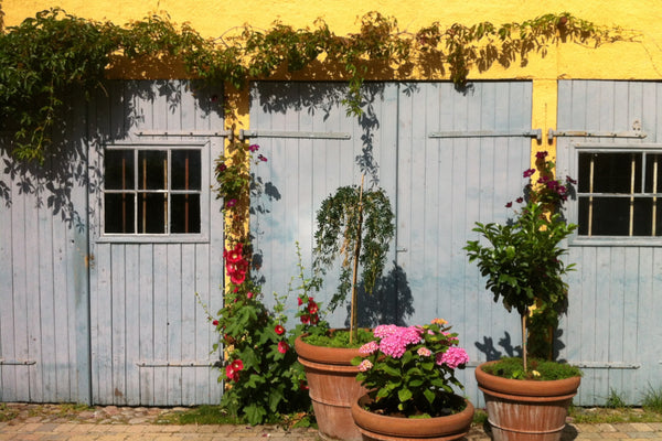 Bright and modern Danish home with two bedrooms available for families, lovely g Denmark A bright family home with lovely garden Entire rental unit vacation rental 25758102