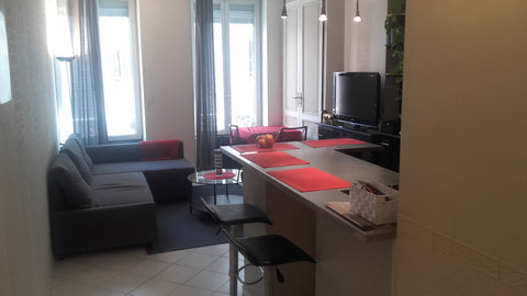 Agréable appartement aux grandes fenêtres permettant de profiter des soleils lyo  Charmant ancien dans le 6e Entire rental unit vacation rental 13051700