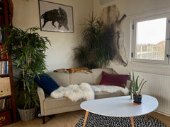 Private room in bright cozy apartment - top of the building with a large sunny b Lyngby, Denmark Room in cozy nordic 2storage condo - free parking Private room in condo vacation rental 614317846820976960