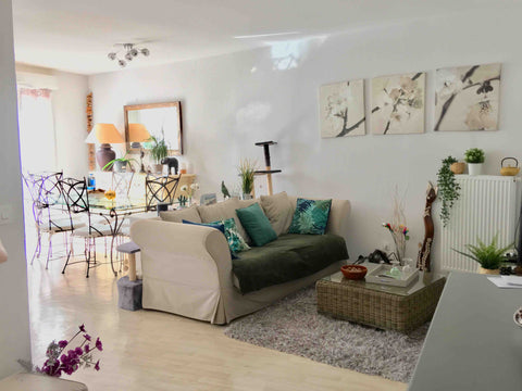 Appartement 70 m² au rez-de-chaussée idéalement situé, proche de tout commerces  Mérignac, France Chambre Merignac vue jardin proche centre/aéroport Private room in condo vacation rental 36832787