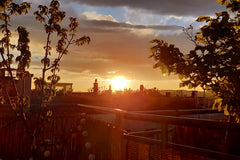 the apartment is located 5-8min walk frome the main trainstation. and the neares Vienna, Austria rooftop 5min from central station Shared room in rental unit vacation rental 53054191