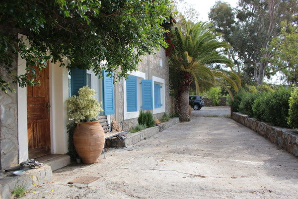 Self-contained annex in traditional Cretan Villa, set within its own organic oli  Villa Xylia... beautiful views,  and beach! Entire rental unit vacation rental 11253443