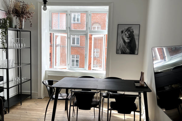 Cute and cosy apartment on Søllerødgade with everything you need. Located right   Cute and cozy apartment on Søllerødgade, Nørrebro Entire condo vacation rental 564301470065516963