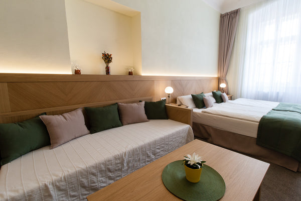 Karlova 25 Apartments has been welcoming guests since 2012.<br />Set in a unique  Large Studio Apartment (#2), Karlova 25 Apartments Entire rental unit vacation rental 13181043