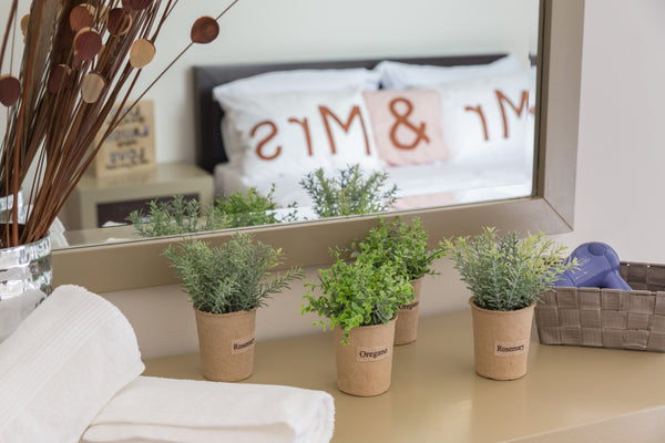 A sunny corner apartment just five minutes on foot from city center and Nea Chor  Central Flat Near the Beach Entire rental unit vacation rental 34209650