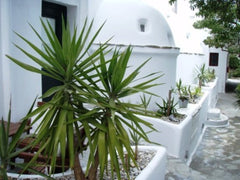 Studio for two guests on the ground floor (two single beds in the bedroom that c Greece ΝΟ 8Studio  (2adults) garden view ground floor Entire rental unit vacation rental 3686439