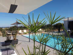 <b>The space</b><br />ideal pour les couples.vacances tres reposantes,au calme.<  house Private room in bed and breakfast vacation rental 18266492