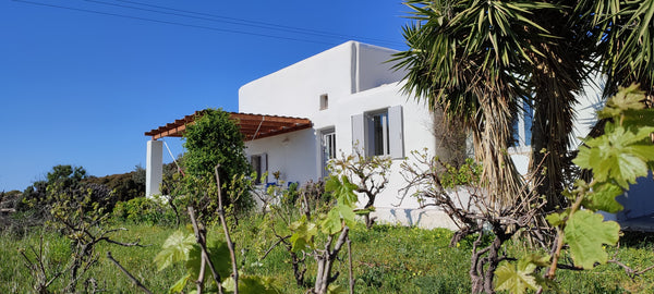 La villa est proche du village de Naoussa, de la plage et des activités adaptées  MimiHouse :  Pretty calm villa near Naoussa, Paros Entire villa vacation rental 14233389