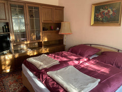 Die Unterkunft ist im suburbanen Raum vor den Toren Wiens im Wienerwald. Du find Vienna, Austria Double im Suburb Hostel Private room in bed and breakfast vacation rental 561418072780605554