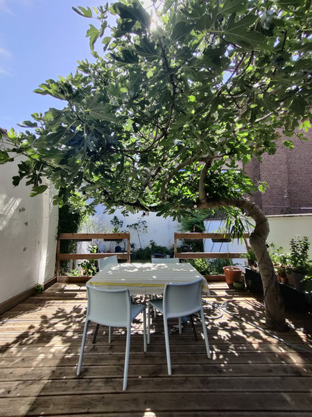 Logement en rez de chaussée, avec jardin terrasse et petit potager. Proche de la Brussels, Belgium Appartement avec jardin et potager Entire rental unit vacation rental 653337730445206381