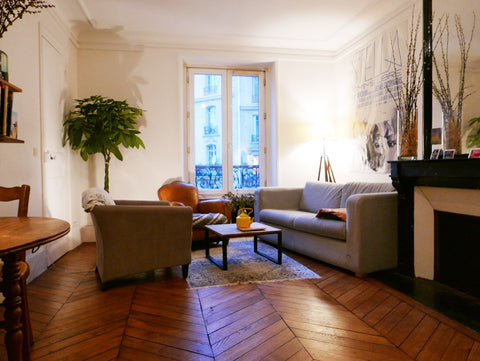 Ancien immeuble parisien avec parquet et moulure.<br />Appartement avec tout le  Paris, France Appartement 60m2, typique Parisien , tout confort Entire rental unit vacation rental 19656069