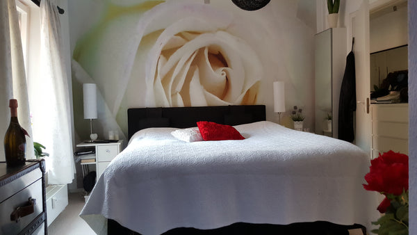 Dejlig lejlighed tæt på alt - butikker, restauranter, Strøget, Hovedbanegården,   Lækker lys lejlighed midt i CPH Entire rental unit vacation rental 10324575