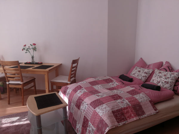 Ihre Studio-Wohnung bestehend aus  Wohnzimmer, Küche, Bad & Toilette. Die Wohnun Vienna, Austria Studio Apartment 15 euro /P.P Wien Simmering Entire rental unit vacation rental 37404818