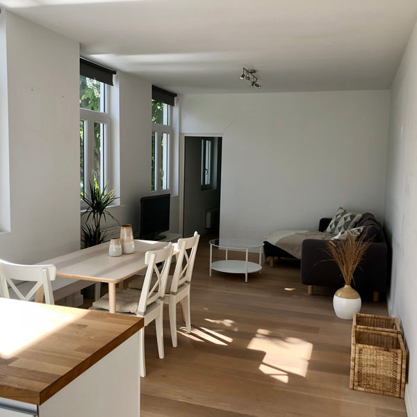Cosy and bright apartment in the 