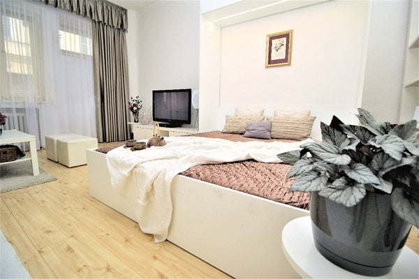 Heart of Old Town Apartment by National Theater Entire condo vacation rental 649134632207906283