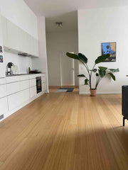 Do you think location is everything? <br />The apartment is brand new with large  City center apartment with balcony Entire rental unit vacation rental 50803843
