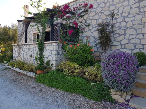 Cottage traditionnel en pierre au cœur d'une oliveraie avec vue magnifique sur l  Cottage du soleil Entire cottage vacation rental 581900763580978361