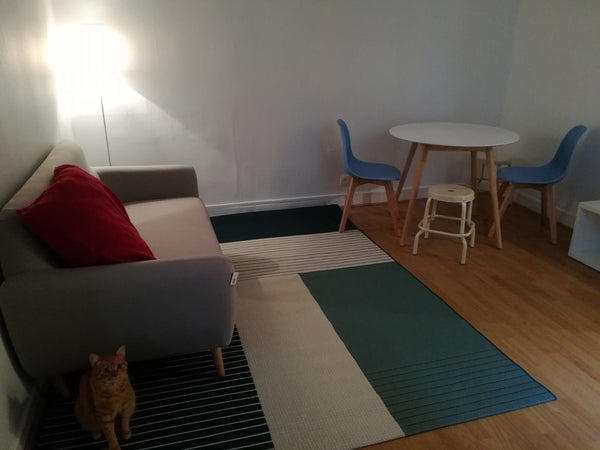 This lovely 35 square meter apartment is located near Montmartre. The apartment  London, United Kingdom Clean and Cozy appartment Entire rental unit vacation rental 23034059