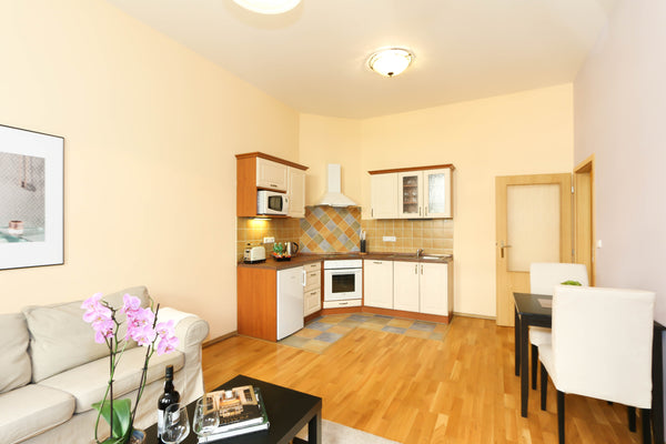 Fully furnished one bedroom apartment, situated on the 3rd floor in a well maint Mníšek pod Brdy, Czechia Moravska 4, # 4 Entire rental unit vacation rental 35241839