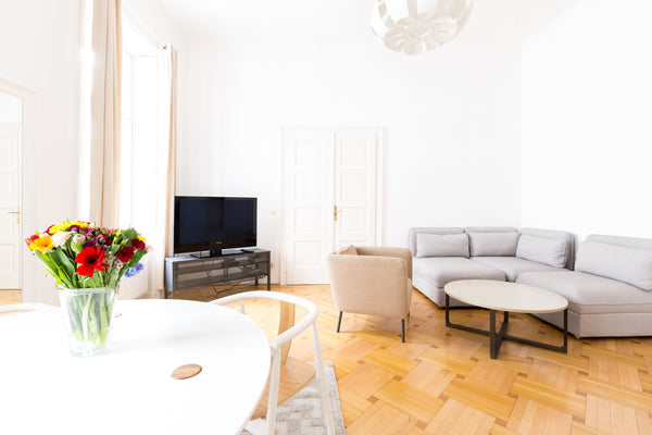 The apartment consists of:<br /><br />A very bright and spacious living room wit Vienna, Austria Georgeous Apartment near Stephansdom - Apt 14 Entire rental unit vacation rental 19776165