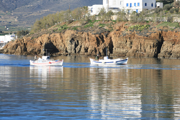 Apartments  villa Giorgio is a small family business made with love and warmth t Paros, Greece villa Giorgio apartment-12  34sqm Private room in guesthouse vacation rental 3199650