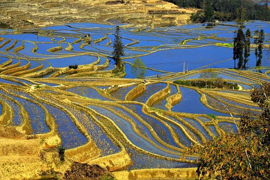 4days private tour Stone forest Yuanyang Terrace Jianshui old town from Kunming  Private Tours and Travel Guide Asia Shanghai CITY Kunming Destination Tour