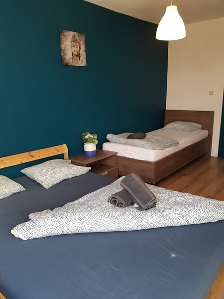 Very nice room near the Midi train station. Your room is private. 5 min walk to  Brussels, Belgium Very nice room near Midi Train Station D3 Private room in home vacation rental 46621368