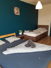 Very nice room near the Midi train station. Your room is private. 5 min walk to  Brussels, Belgium Very nice room near Midi Train Station D3 Private room in home vacation rental 46621368