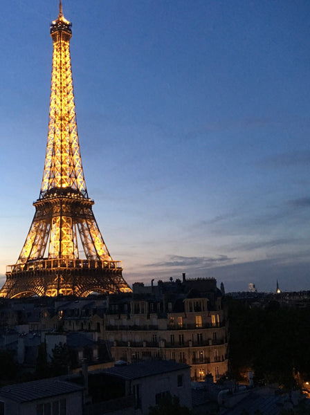 Ideal for a couple, or single person. <br />All windows have a stunning view of  Paris, France New Studio - Eiffel Tower View #Launching Price Entire condo vacation rental 20400255
