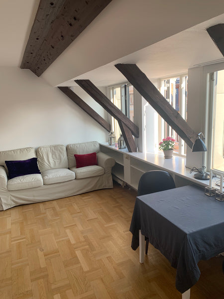 The apartment is a romantic studio penthouse in the middle of Copenhagen. Within Copenhagen, Denmark Studio Penthouse at Kongens Nytorv Entire rental unit vacation rental 37115234
