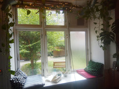 Cozy and artistic studio-apartment with a lot of light, plants and a lovely insi Copenhagen, Denmark Cozy studio-apartment near the center Entire rental unit vacation rental 34430383