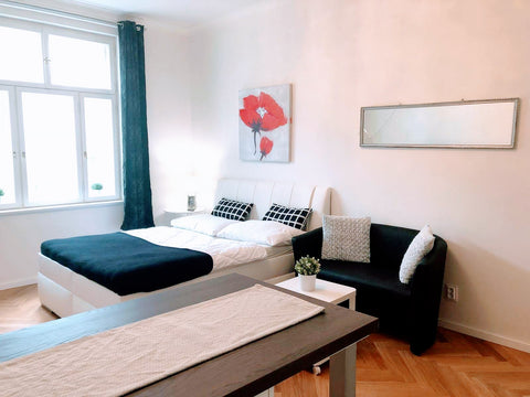 Accogliente monolocale situato nel quartiere di Zizkov a pochi minuti dal centro  Charming studio apartment near the historic center Entire condo vacation rental 49661720