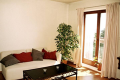 New reconstructed Studio CITY is comfortable, Sunny side apartment, with direct  Prague, Czechia Studio CITY near Center~person GRATIS~fast WIFI! Private room in rental unit vacation rental 30238120