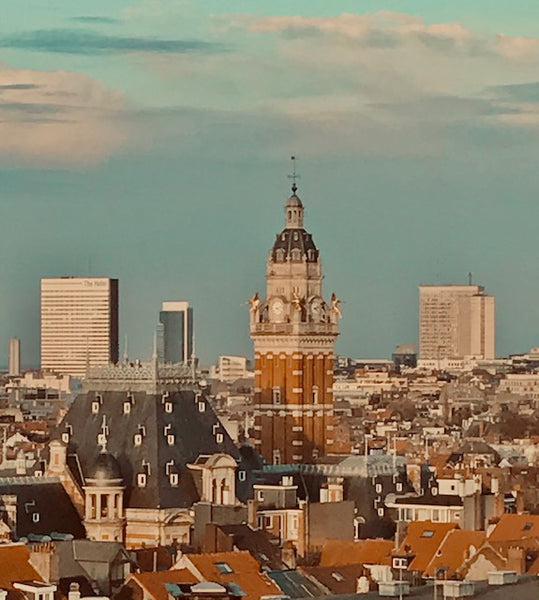 Lieu idéal pour découvrir la ville tant dans sa parfaite localisation que pour s  Un cocon avec Vue exceptionnelle sur la Capitale ! Private room in rental unit vacation rental 52611744