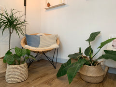 Adorable deux-pièces lumineux dans un immeuble en pierre au coeur du centre hist Bordeaux, France Déco slow design au coeur du centre historique! Entire rental unit vacation rental 19245868