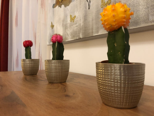 A cosy and newly renovated apartment for city tourists very close to the histori Vienna, Austria La Petite Imperiale Entire rental unit vacation rental 30224128