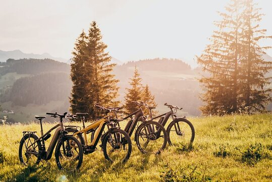 E Bike Day Trip with Lunch to Harrys Rock or Corfé Castle  Private Tours and Travel Guide Europe London CITY Bournemouth Destination Tour