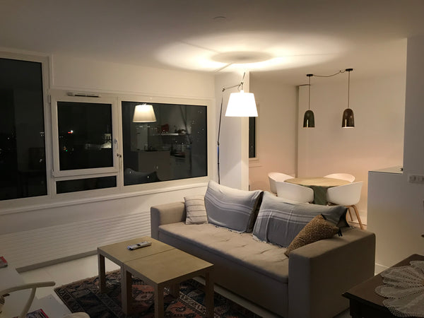 Grand appartement de standing de type loft, très lumineux avec vue panoramique.   Grand appartement de standing avec vue Entire rental unit vacation rental 15892408