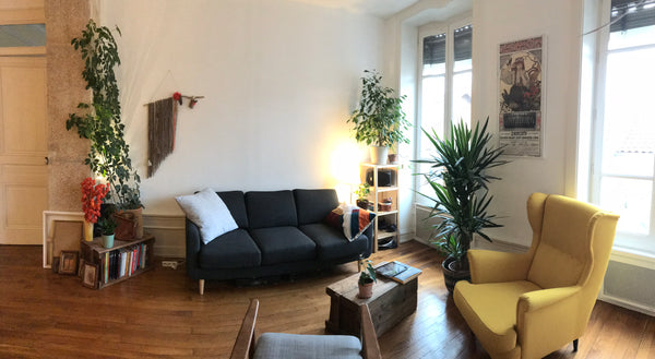 Appartement ancien mais rénové  typiquement lyonnais, nous essayons de rendre no Lyon, France Appartement lyonnais typique XIXe chaleureux. Entire rental unit vacation rental 22112696