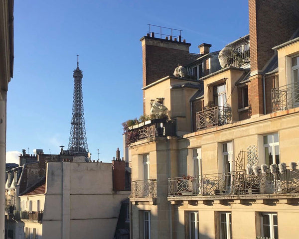 Charmant studio très lumineux, situé au cœur du 7ème arrondissement, à deux pas  Paris, France Petit studio cosy à deux pas de la Tour Eiffel Entire rental unit vacation rental 23630387