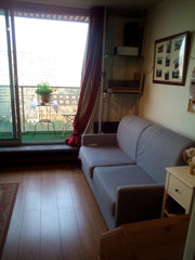 Studio de 30m²  disposant d'une cuisine bien équipée,  d'une pièce de vie lumine Paris, France Sudio lumineux place d'Italie Entire rental unit vacation rental 10937274