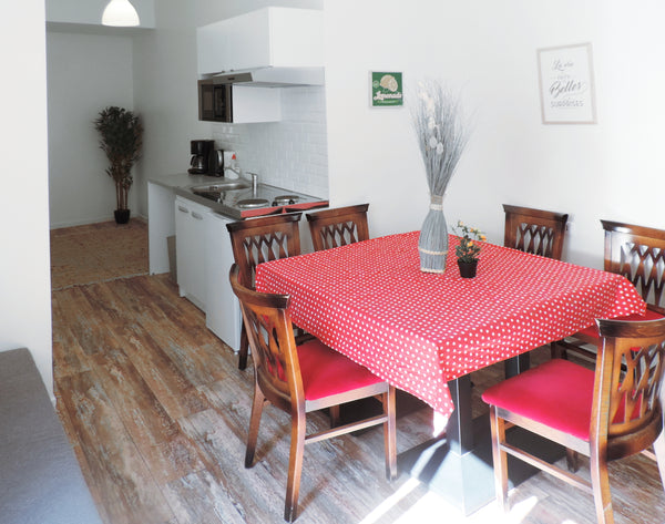 Appartement 3 chambres, 1 canapés lit, 1 lit pliant, salle de bain, wc, cuisine, Paris, France tres proche de la place de la Republique, soleil Entire rental unit vacation rental 13703585