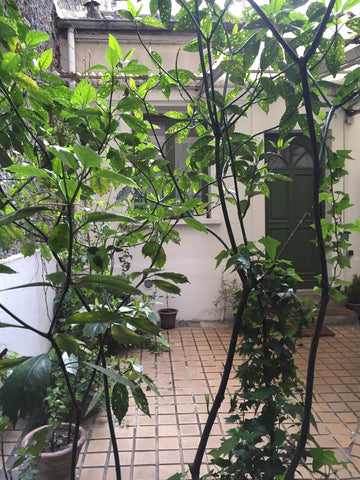<b>License number</b><br />7511802830407 Paris, France Chambre indépendante d'une maison avec jardin Private room in home vacation rental 4973111