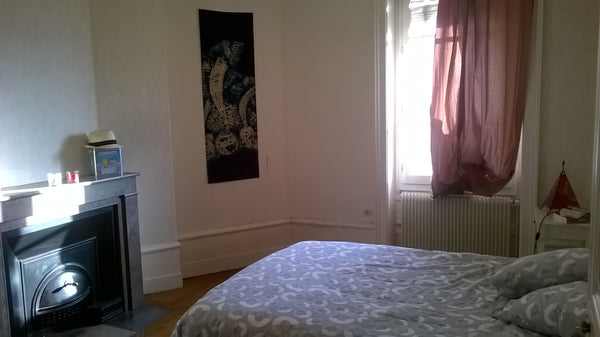 Je vous propose un bel appartement pour passer quelques nuits. Il est très proch  Appartement lumineux Garibaldi Entire rental unit vacation rental 9858407