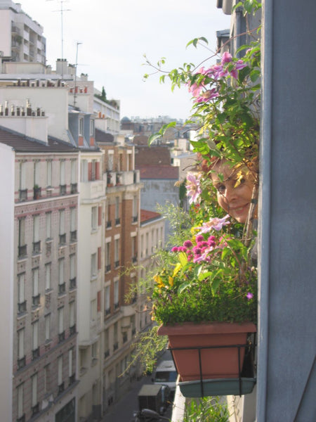 A very cosy attic apartment - front and rear view with open outlook. 6th and top Paris, France Under a parisian roof Entire rental unit vacation rental 5781989