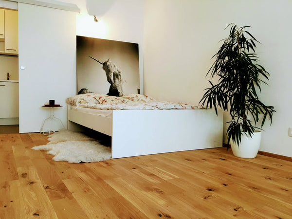 This sunflooded and centrally located apartment in the heart of the city is equi Vienna, Austria 🔑Centrally located CONTEMPORARY apartment🍜 Entire rental unit vacation rental 28027171