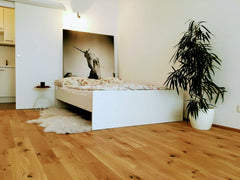 This sunflooded and centrally located apartment in the heart of the city is equi Vienna, Austria 🔑Centrally located CONTEMPORARY apartment🍜 Entire rental unit vacation rental 28027171