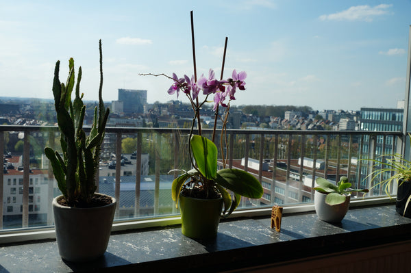 Nice apartment, less than 2 km from the historical center of Ghent. Superb view  Brussels, Belgium Apartment: 20% off (scaffold in front of terras) Entire rental unit vacation rental 3951890
